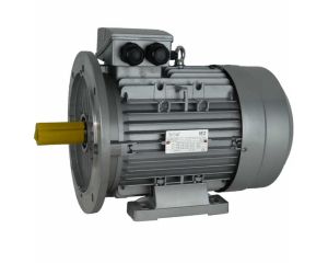 IE1-Elektromotor 0,55 kW, 230/400 Volt 1500 U/min